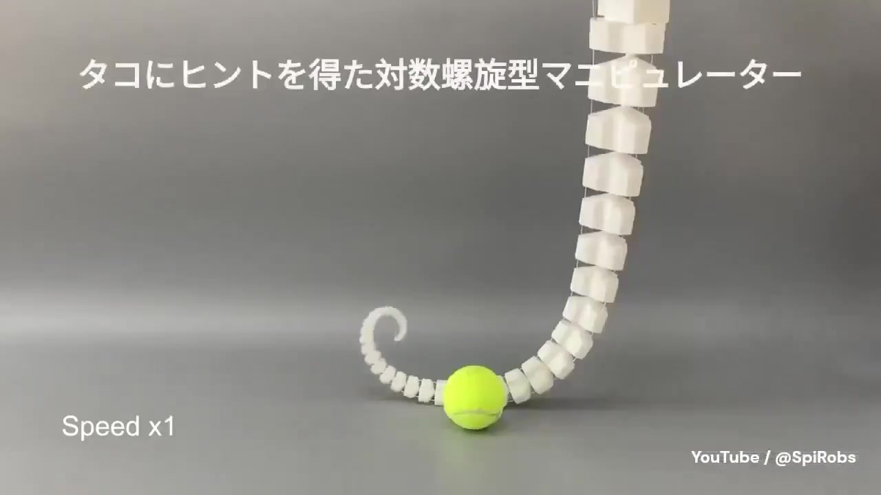 SpiRobs: Bio-Inspired Soft Robots Revolutionizing Grasping Technology