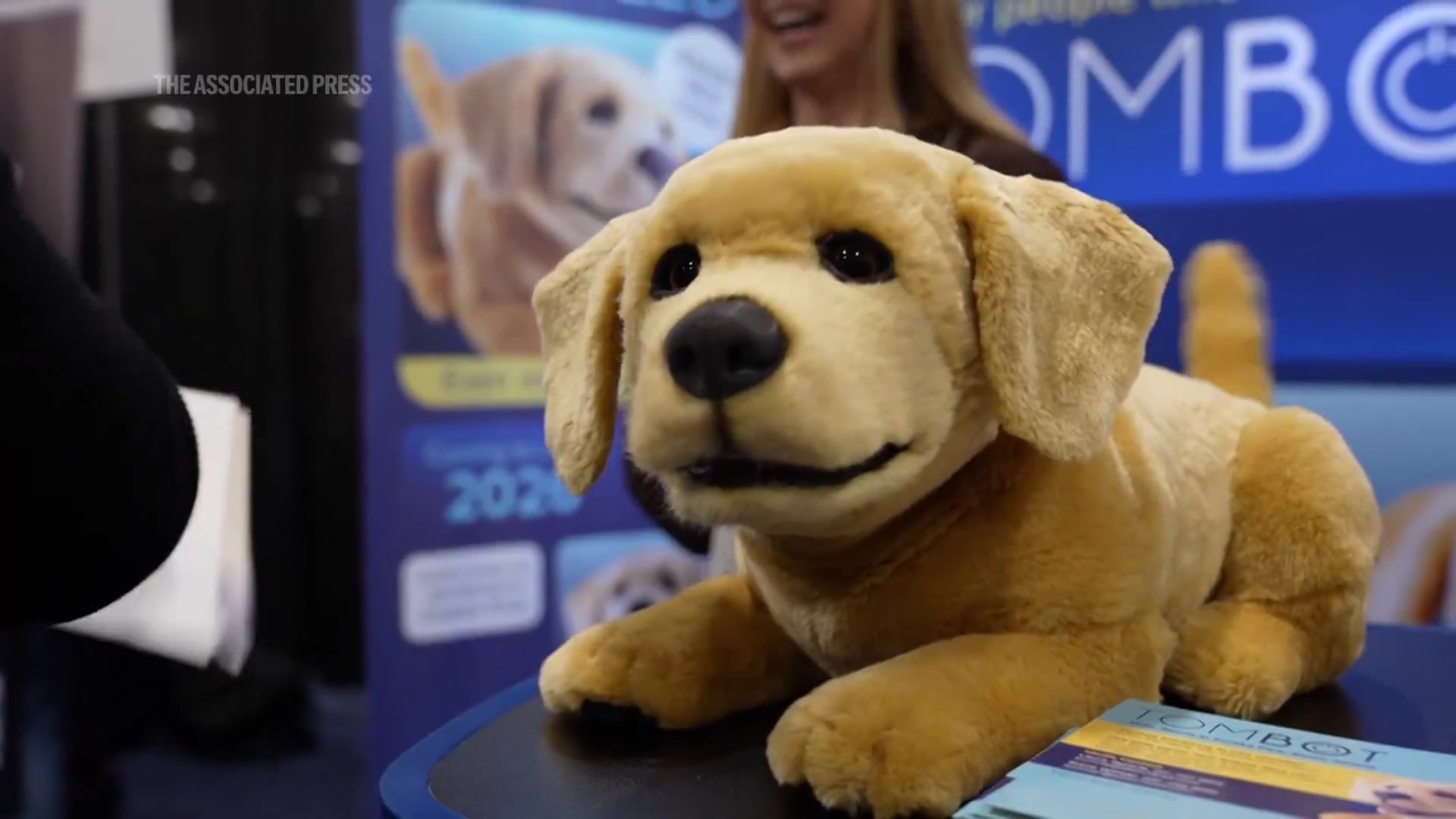 Echoes of Supertoys: AI Companions Shine at CES 2026