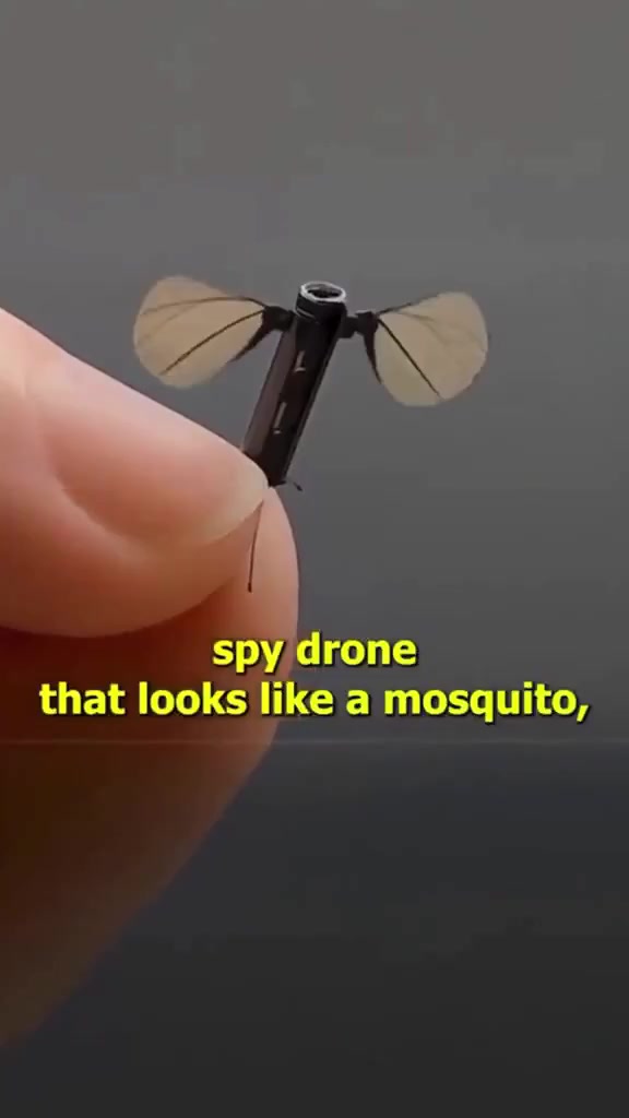 China’s Mosquito-Sized Surveillance Drone: Stealth Tech from NUDT