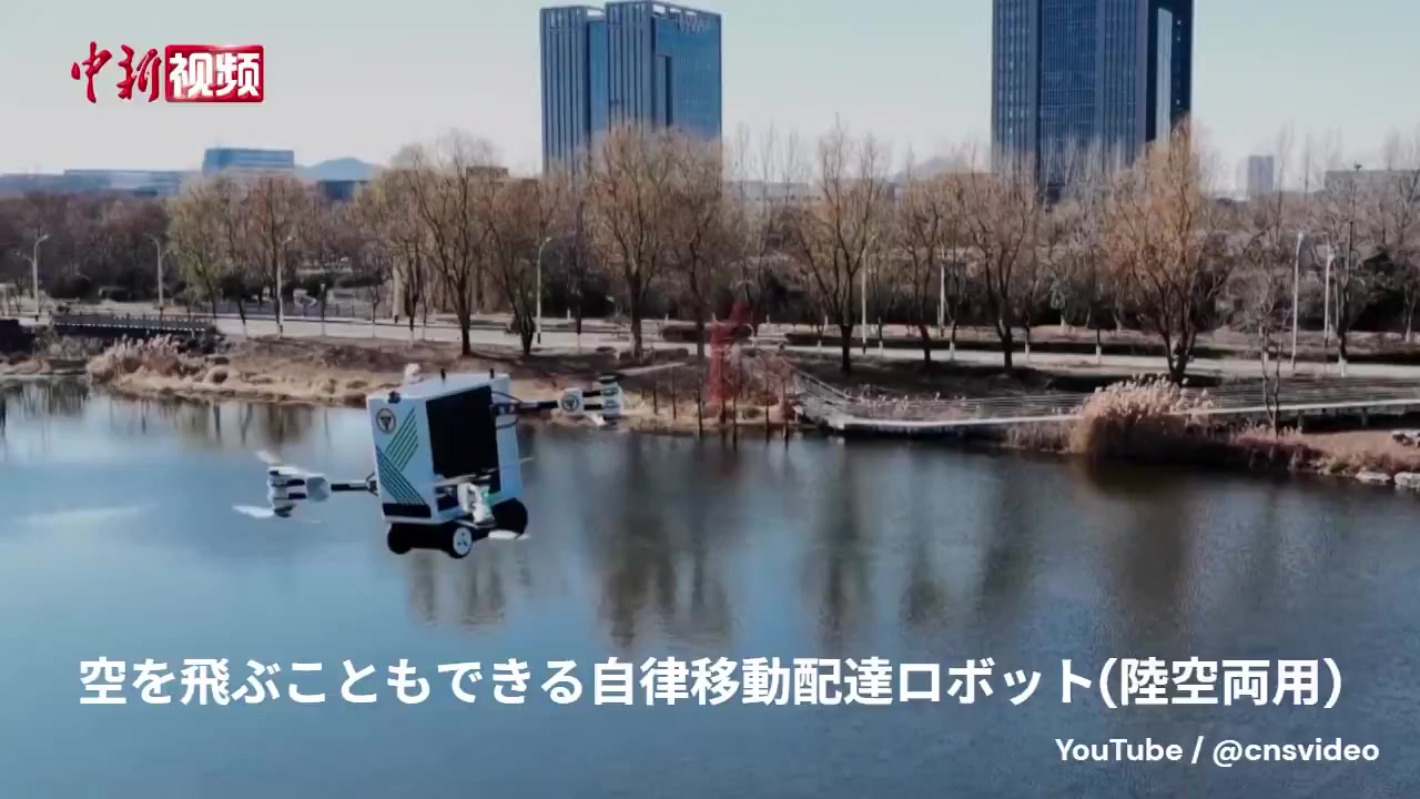 Air-Ground Dual-Use Robots Advance Delivery